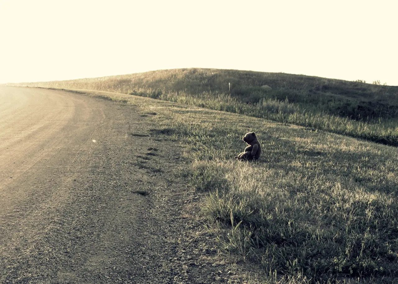 Teddy bear beside a gravel road on a grassy hillside, 2010