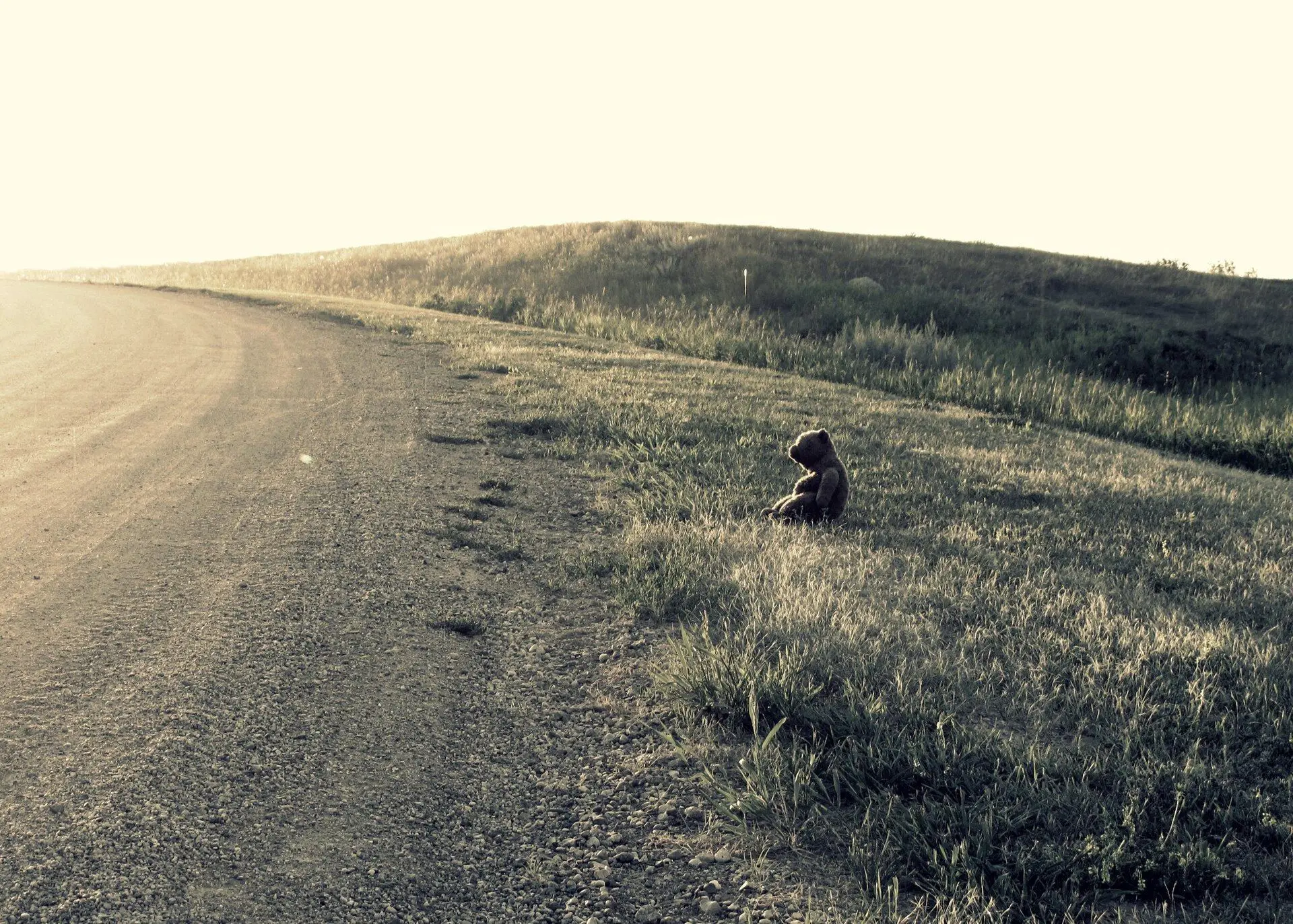 Teddy bear beside a gravel road on a grassy hillside